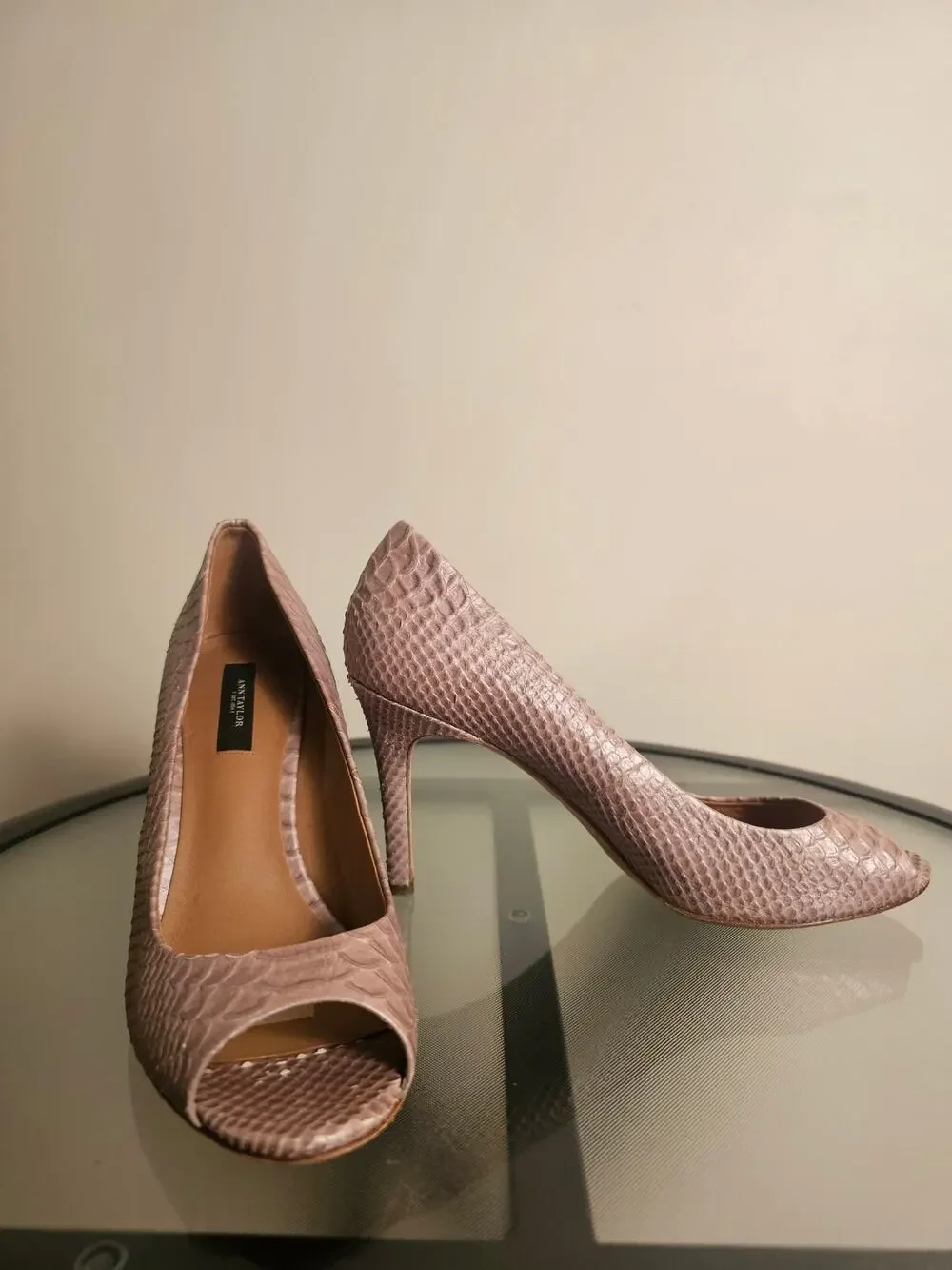 Ann Taylor 
